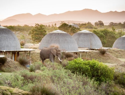 Kwena Lodge Ellies_DSC8946