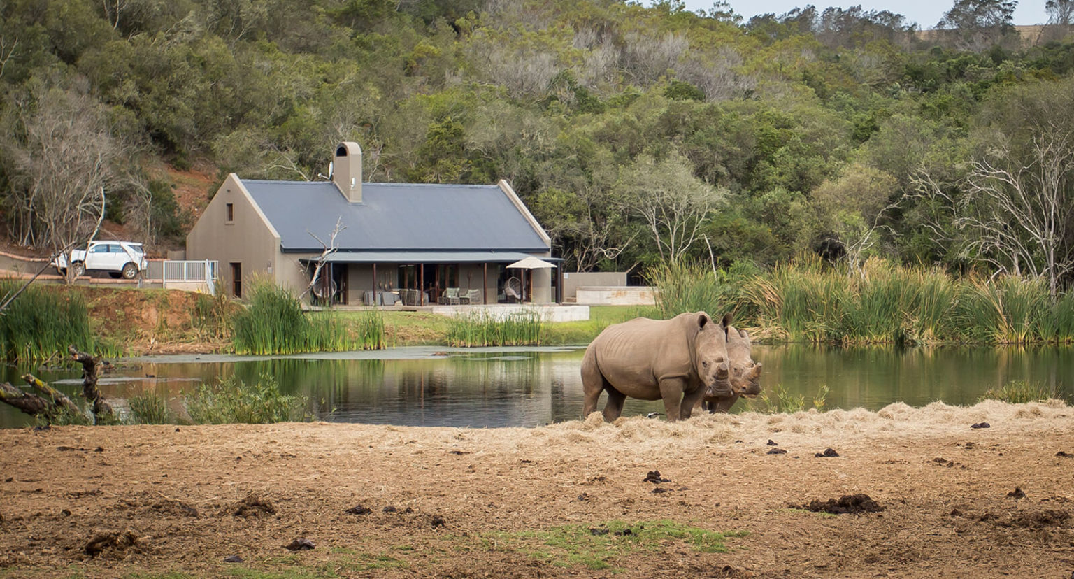 Botlierskop Bush Villas, Private Game Reserve Safaris Down South