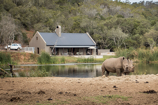 cape town garden route safari