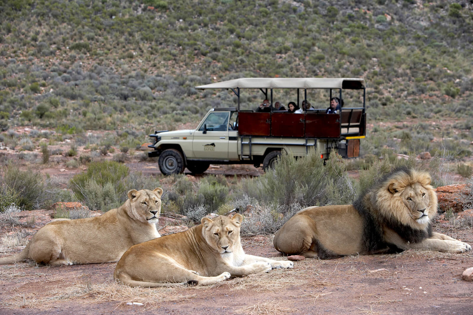 safari tour route
