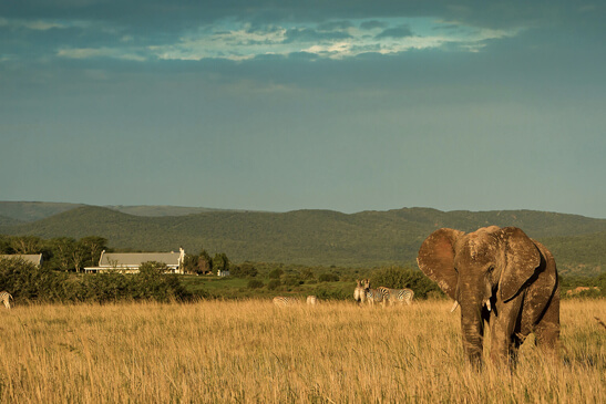 Addo - River Bend Lodge (1)