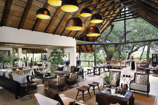 Londolozi Tree Camp banner