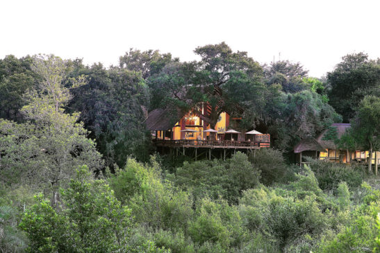 Londolozi Varty Camp banner