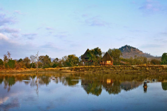 Safari Lodge banner