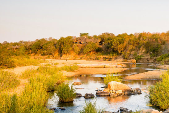 Singita Ebony Lodge banner