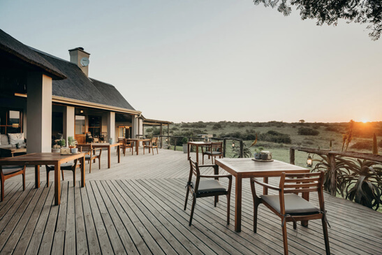 cape safari lodge