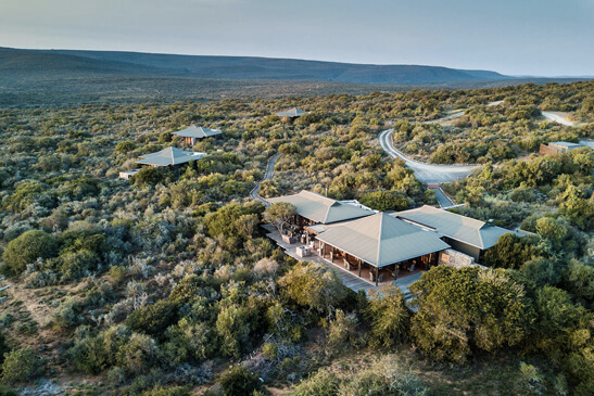 safari lodges cape town south africa