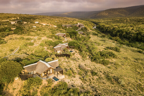 cape safari lodge