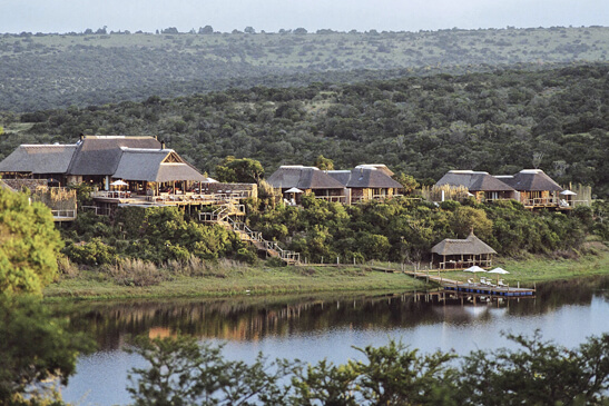 best safari near port elizabeth