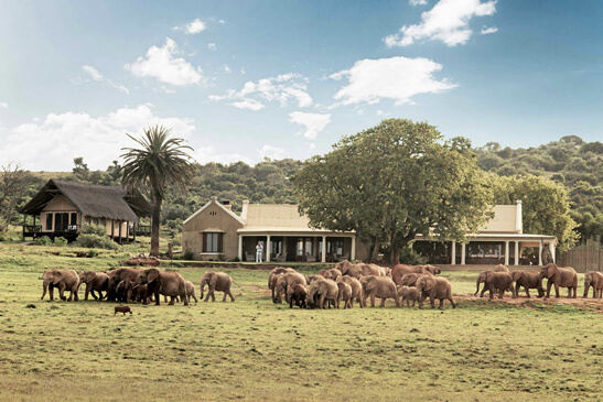 best safari near port elizabeth