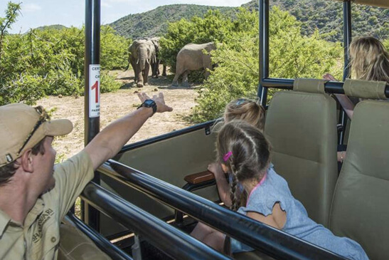 best safari near port elizabeth