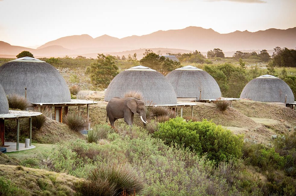 gondwana-game-reserve-kwena-lodge_4