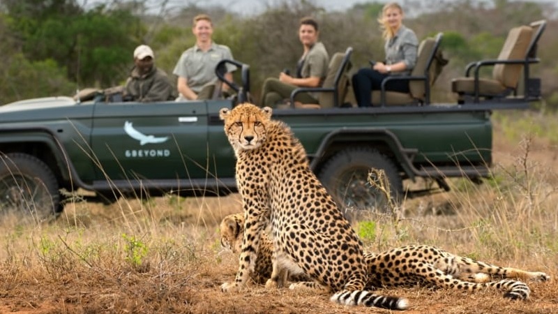 safari etiquette and safety