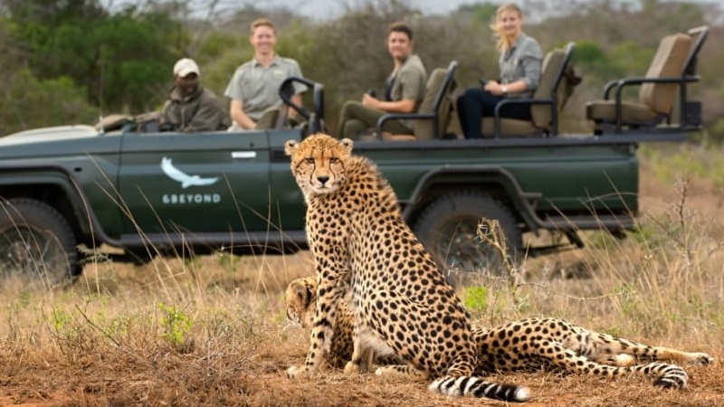 Luxury Game Lodge Okavango Botswana