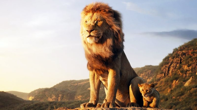 african safari 3d full movie