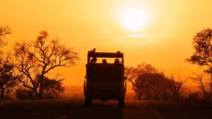 safari-questions-and-answers