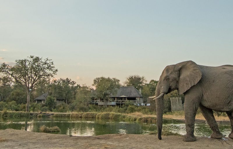 Simbambili Game Lodge