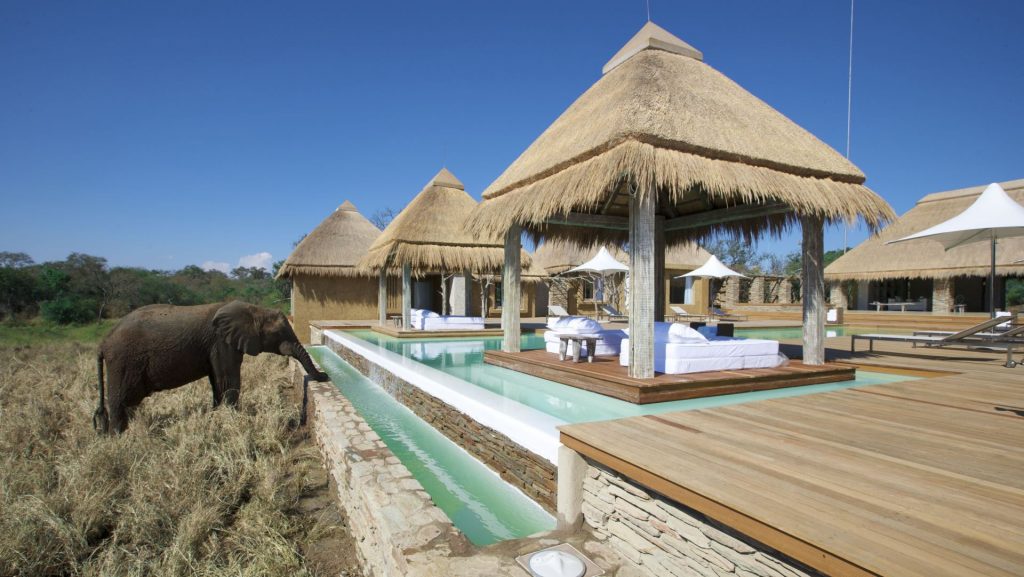 big 5 luxury safari lodge South Africa