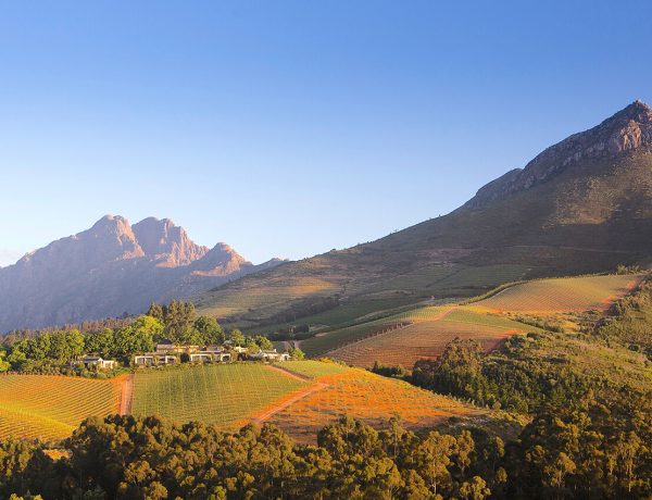 Delaire Graff Estate 2