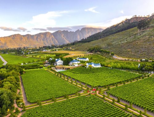 Stellenbosch & franschhoek