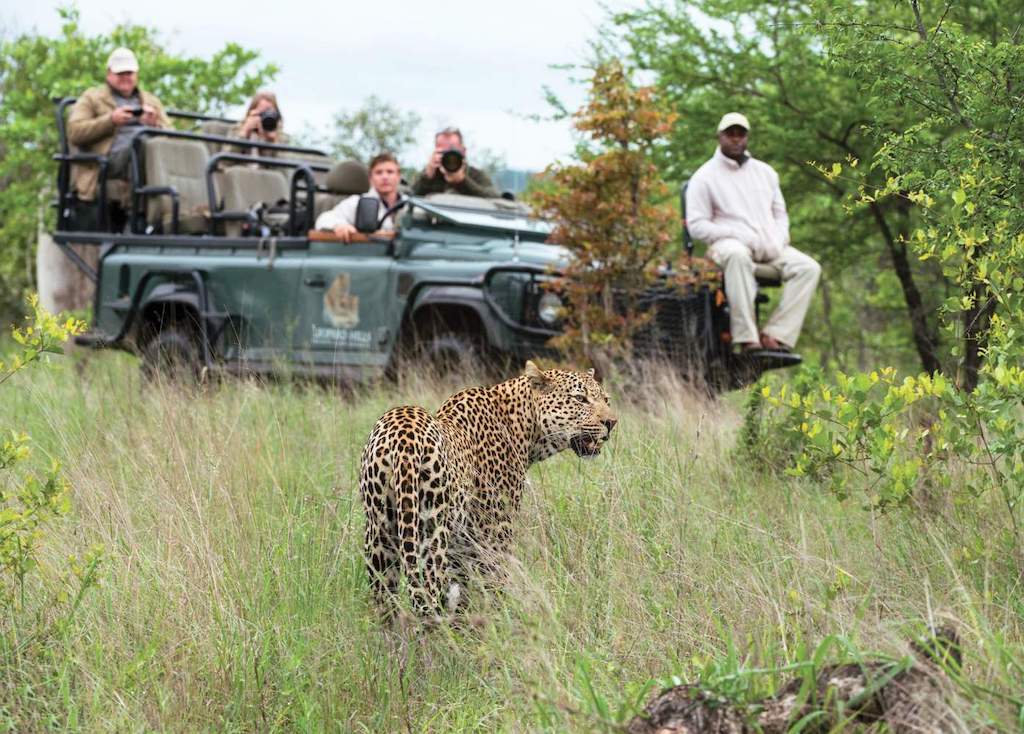 Game Drives in the Kruger National Park 