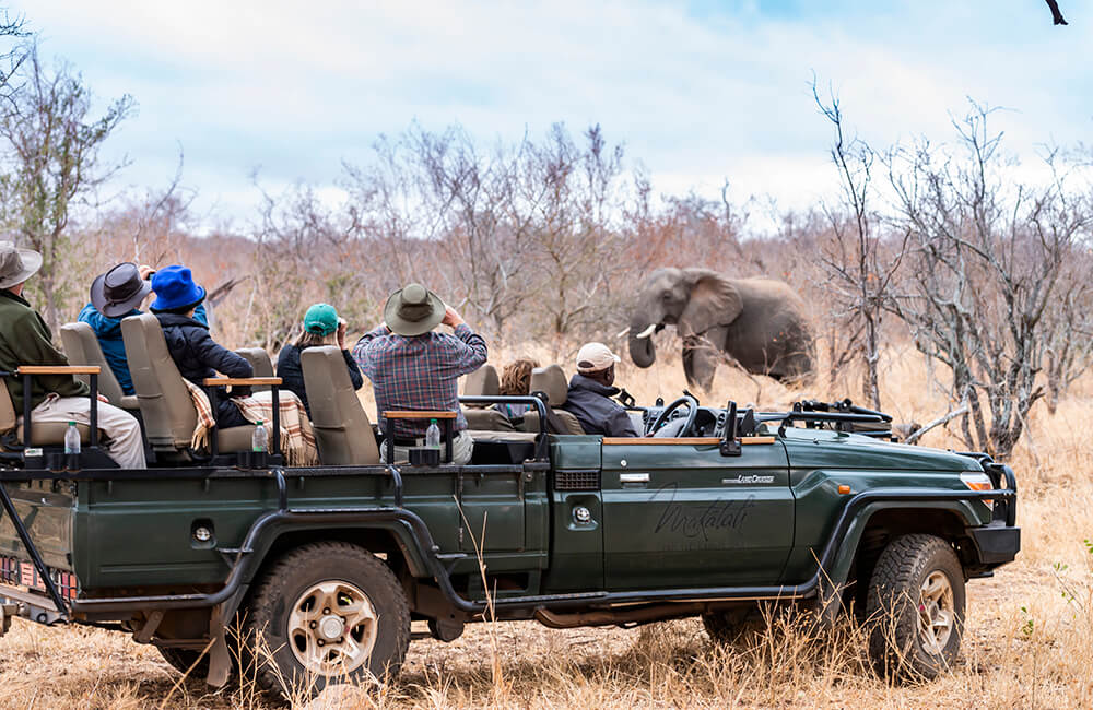 Safety in the Kruger National Park 