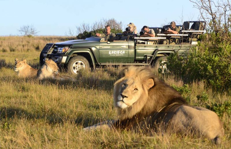 Kariega Game Reserve