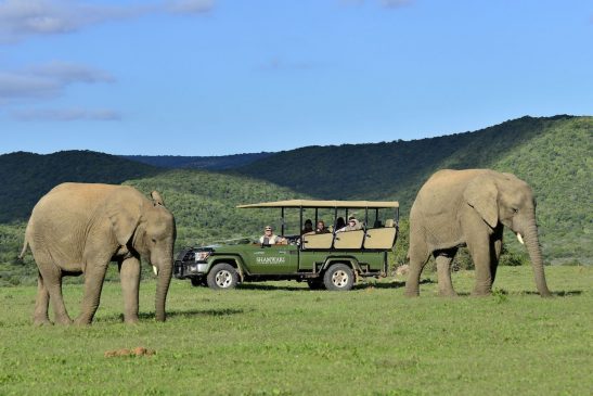 Shamwari Game Reserve, Eastern Cape