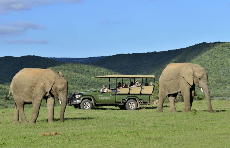 Shamwari Game Reserve, Eastern Cape