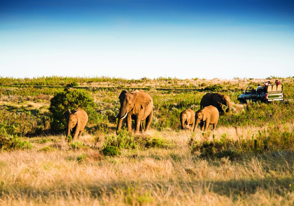 Gondwana Game Reserve