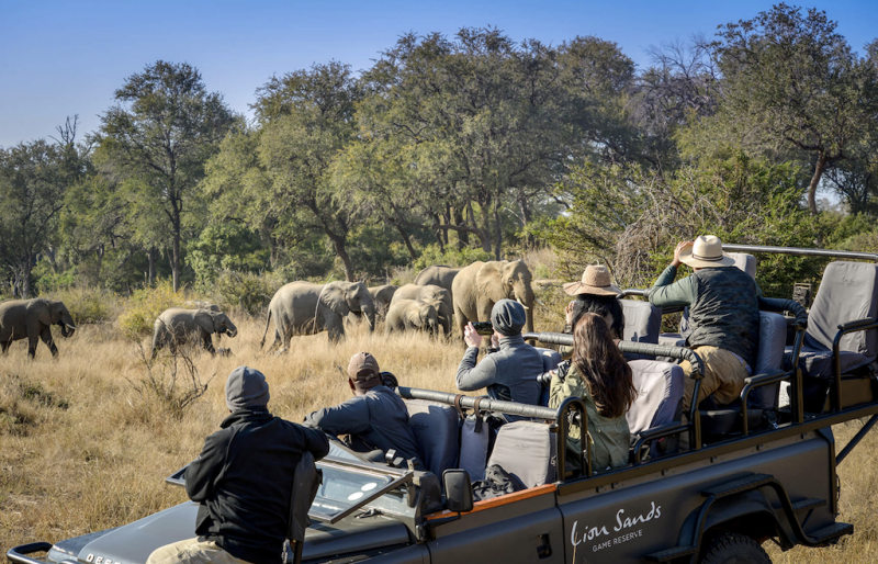 Lion Sands Game Reserve