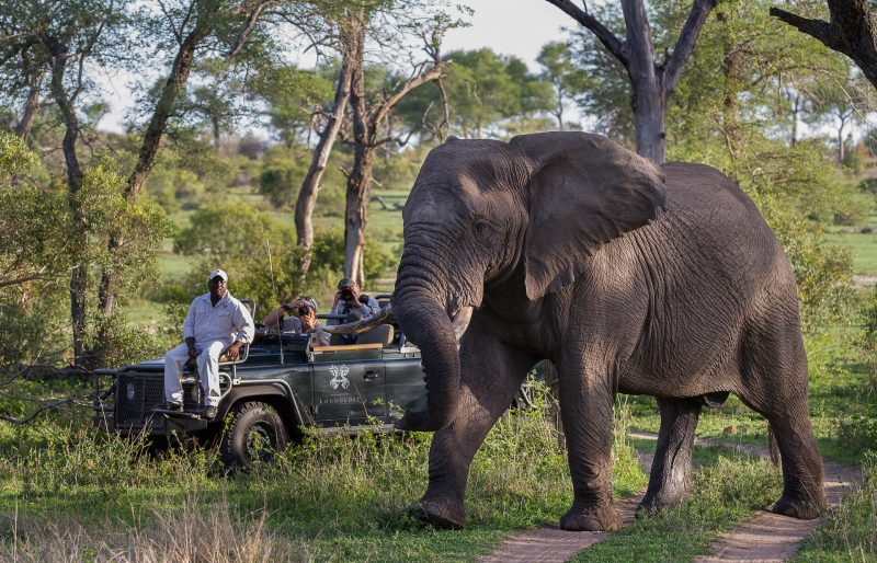 Londolozi Game Reserve