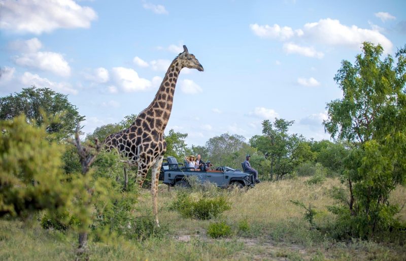 Silvan Game Reserve