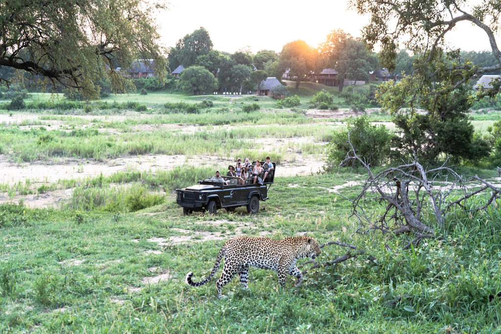 MalaMala uncrowded game drive sighting