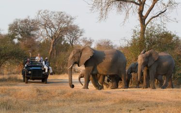 The Greater Kruger National Park