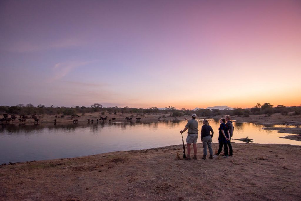 A guided walking safari in the Kruger National Park with armed ranger