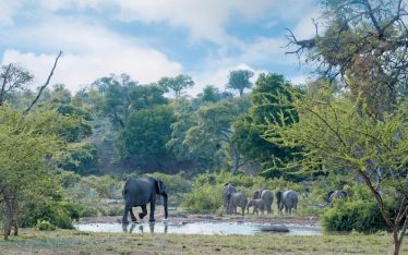 The Kruger National Park
