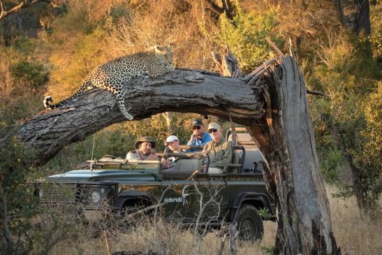 MalaMala Private Game Reserve in South Africa.