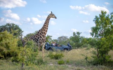 A private game reserve in South Africa