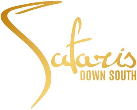 Travel with us & <br> Experience our world