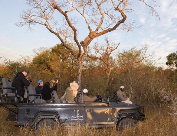 Dulini-Main-Lodge-feature-4-3 Dulini-Main-Lodge-feature-4-3