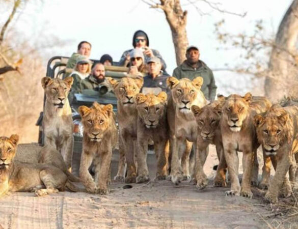 Rectangle 8_grid_last (1) Rectangle 8_grid_last (1)