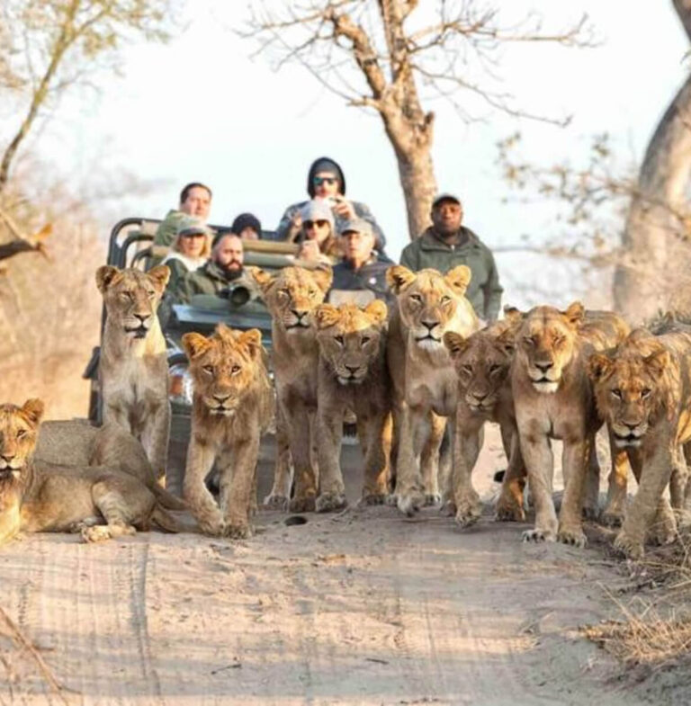 Rectangle 8_grid_last (1)