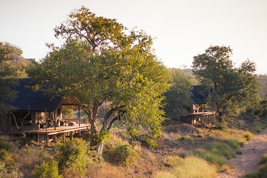 Goronga-Safari-Camp-main-image-1