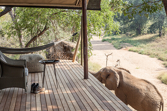 Goronga-Safari-Camp-tents-5