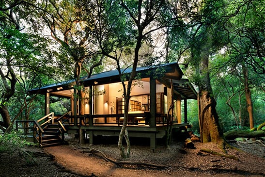 Forest-Lodge-Luxury-suite-2