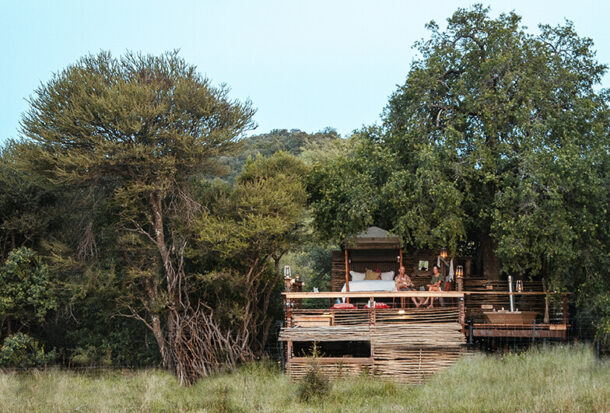 Jacis-Naledi-Treehouse-suites-1 Jacis-Naledi-Treehouse-suites-1