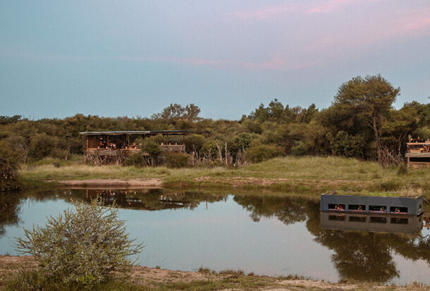 Jacis-Naledi-Treehouse-suites-3 Jacis-Naledi-Treehouse-suites-3
