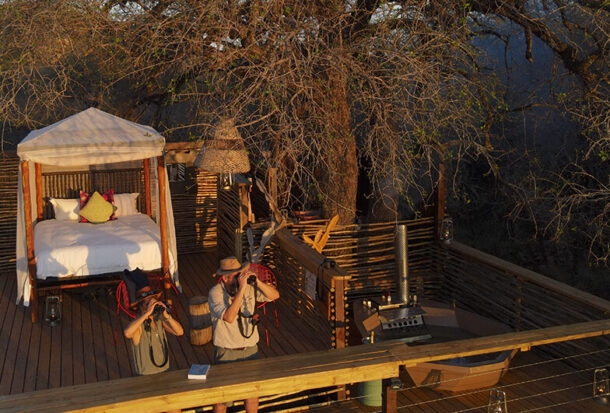 Jacis-Naledi-Treehouse-suites-4 Jacis-Naledi-Treehouse-suites-4