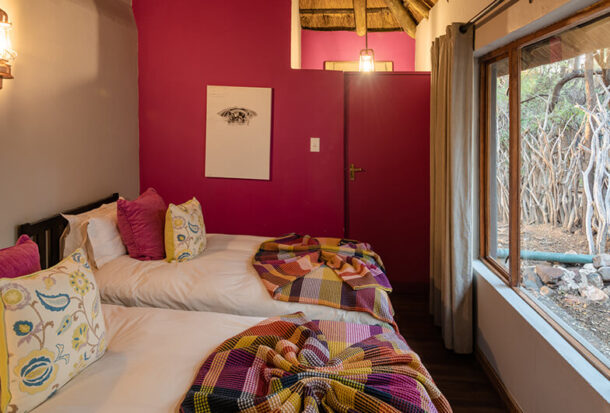 Jacis-Safari-Suite-1-1 Jacis-Safari-Suite-1-1